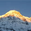 Mt. Everest