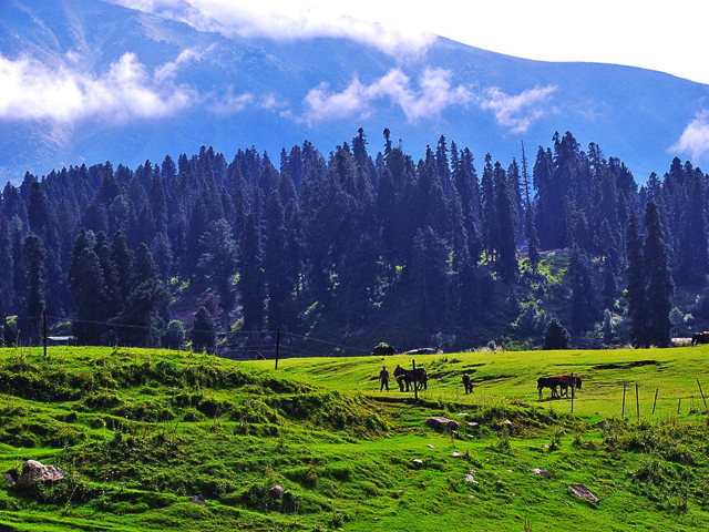 Gulmarg