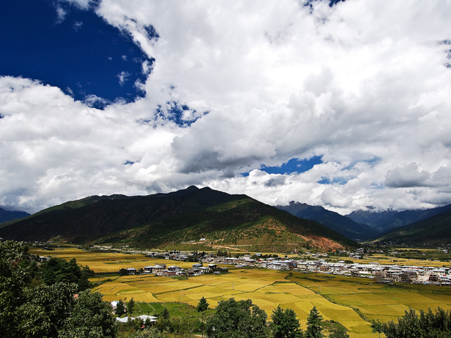 Paro