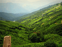 Sikkim