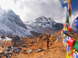 Annapurna Region