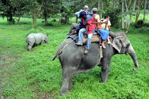 Elephant Ride in Chitwan National Park, Days Luxury Nepal Tour
