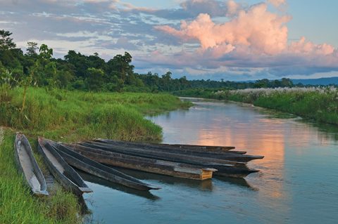 Dugout boats on the river bank in Chitwan National Park, Days Kathmandu Pokhara Tour With Chitwan Safari