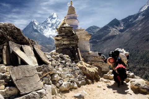 View Mount Everest From Ama Dablam, Ama Dablam