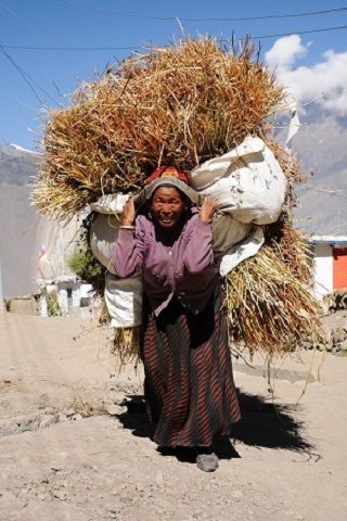 Jomsom - Along Annapurna Trail - Nepal, Annapurna Base Camp