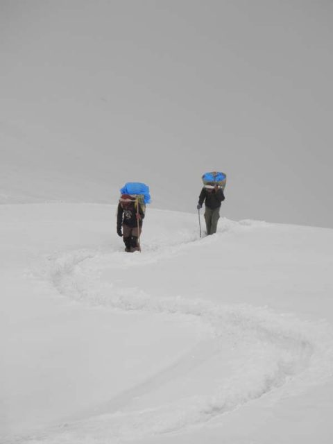 Porters Going to ABC, Annapurna Base Camp