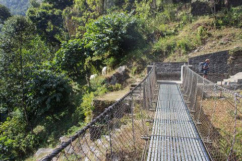 Suspension Bridge On Annapurna Base Camp Trek, Annapurna Conservation Area