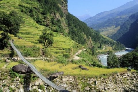 Suspension Bridge In Nepal Himalayan Mountains, Annapurna I