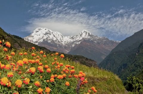 Abc Annapurna South Peak