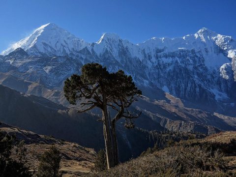 Tilicho Peak Nilgiri North, Annapurna Trek