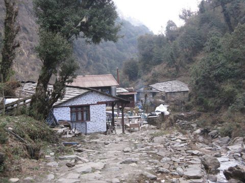 Banthanti, Banthanti 8