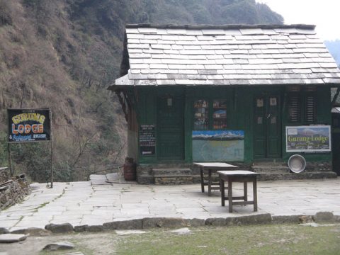 Gurung Lodge, Banthanti 8