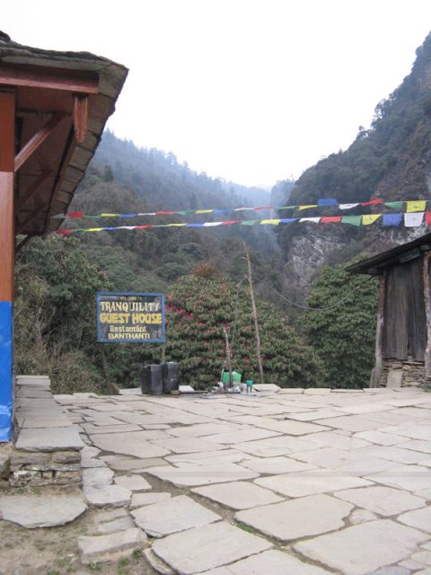 Tranquility Guest House, Banthanti 8