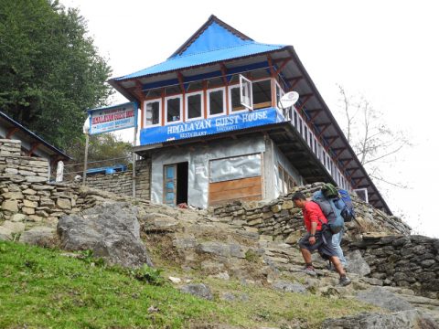 Himalayan Guest House, Banthanti Kaski