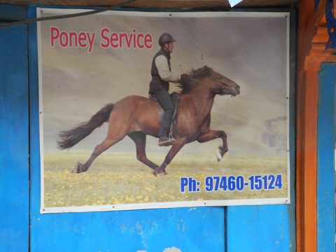 Pony Service Banthanti, Banthanti Kaski