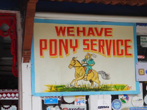 Pony Service Green Hill View Lodge, Banthanti Kaski