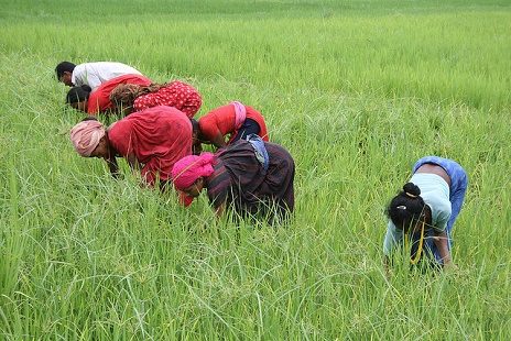Mayurbasti - Bardia - Nepal, Bardiya National Park