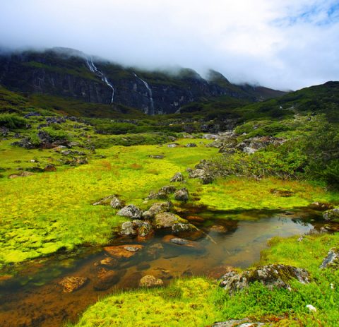 Repuk  Makalu  Barun  Valley  Nepal, Barun River