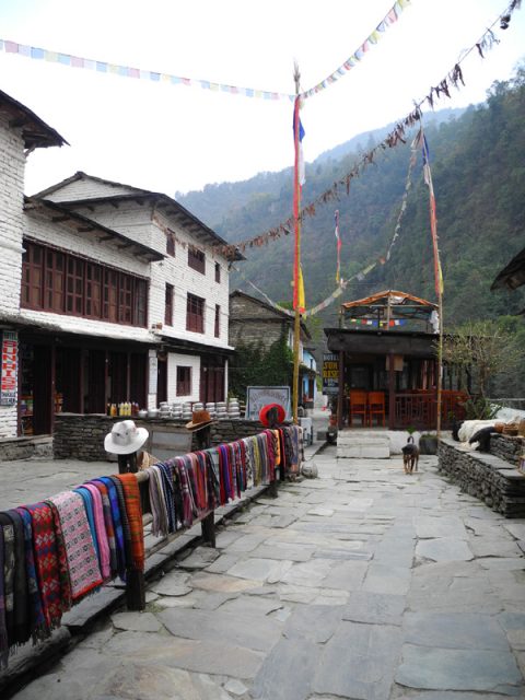 Birethanti, Birethanti