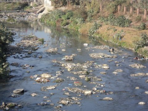 Bishnumati River Closeup, Bisnumati River
