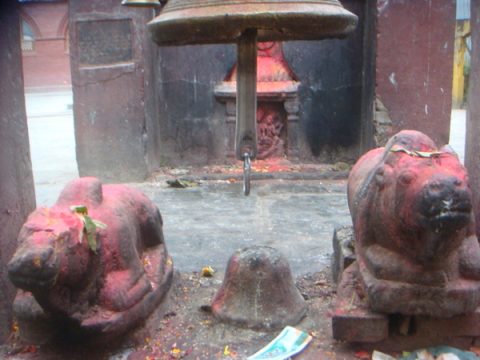 Bull at Budhanilkantha, Budhanilkantha Temple