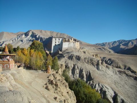 Charang, Charang