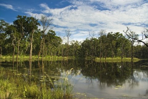 Beeshazar Lake near Chitwan National Park, Chitwan District