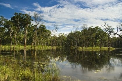 Landscape in Chitwan National Park, Chitwan National Park
