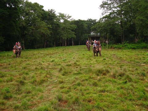 Elephant Ride, Chitwan National Park 3 Days