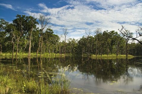 Hajari Lake in Chitwan National park, Chitwan National Park 3 Days
