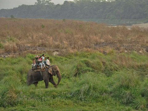 Elephant Ride Across Chitwan National Park, Chitwan Safari with Kathmandu Sightseeing 6 Days