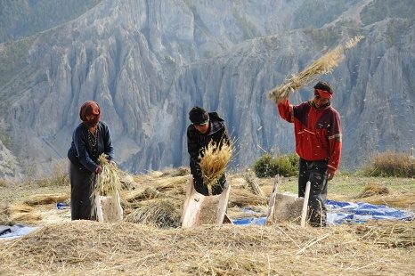 Annapurna Trail - Central Nepal, Dhampus