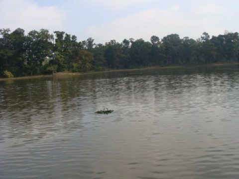 Jokhar Taal, Dhangadhi