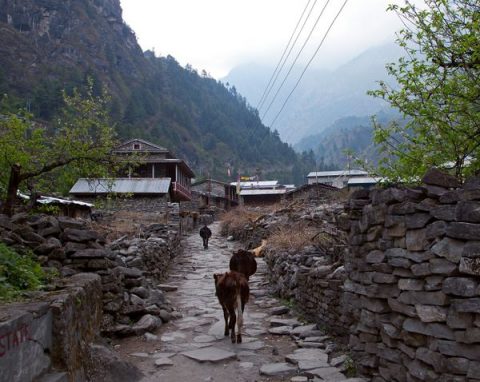 Dharapani Village, Dharapani