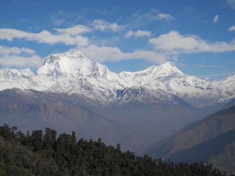 Dhaulugiri Tukuche, Dhaulagiri