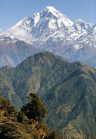 Mount Dhaulagiri - Nepal Himalayas, Dhaulagiri