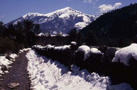 Dhorpatan Hunting Reserve, Dhorpatan Hunting Reserve