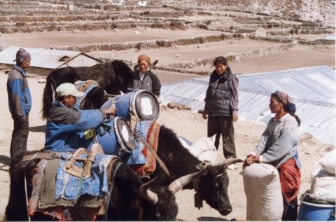 Dingboche, Dingboche