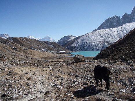 Landscape Surrounding Dudh Pokhari - Nepal Himalayas, Dudh Pokhari