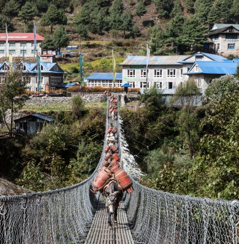 Trekking from Namche Bazaar to Monzo Nepal Sagamatha National Park, Everest Base Camp Trek 12 Days