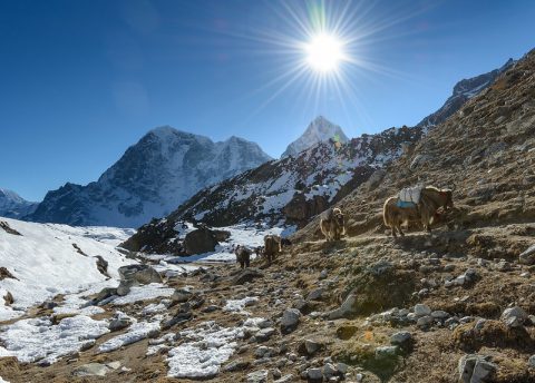 Going Everest via Base Camp, Everest Expedition - Spring