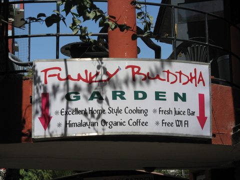 Funky Buddah Garden, Funky Buddha Garden