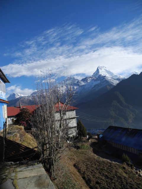 Annapurna View, Ghorepani