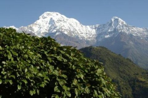 Ghorepani Poonhill Trek, Ghorepani Poonhill Trek