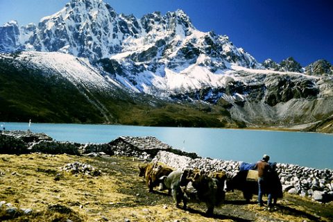 Lake At Gokyo Nepal, Gokyo Lakes