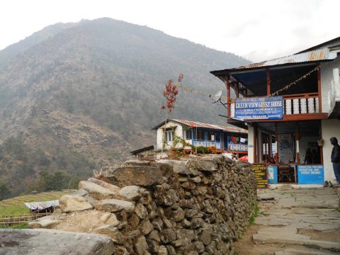 Green View Guest House, Hile