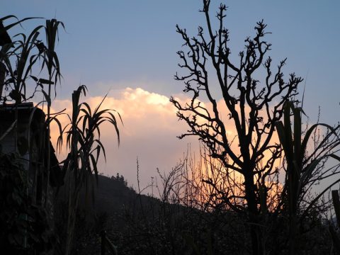 Sunset Hille, Hile