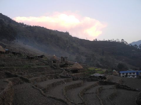 Terraces Sunset Hille, Hile