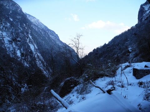 View from Himalaya, Himalaya