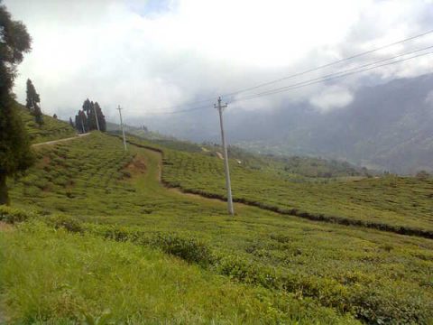 Chiyabari, Ilam